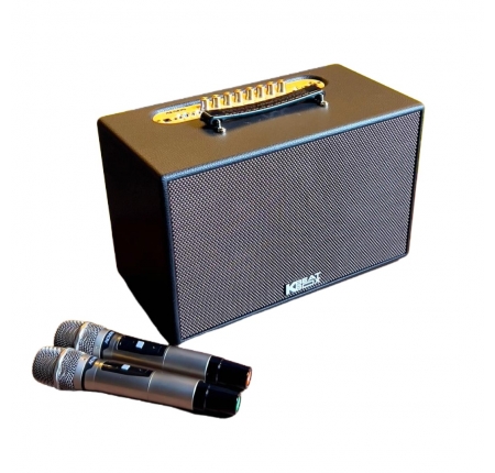 Loa ACNOS CS201 PLUS – Loa Karaoke Di Động 100W, DSP Chống Hú, Kết Nối Smart TV