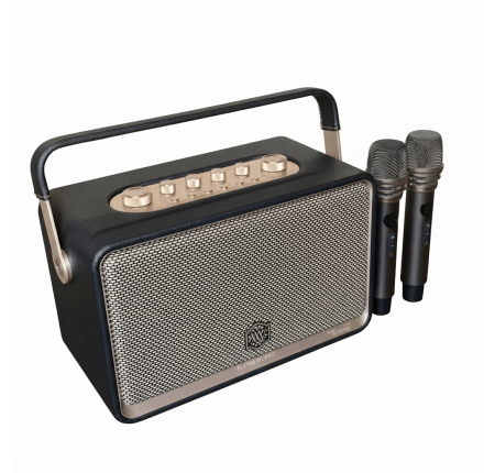 Loa Karaoke Alpha Works AW-W99 220W