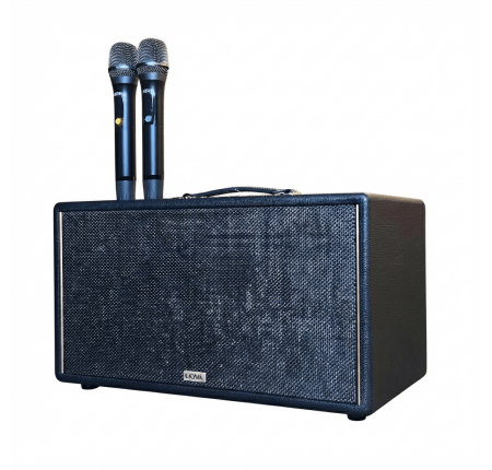 Loa Karaoke KADMA KM-KS68 300W