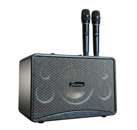 Loa Karaoke PARAMAX ART 88 400W – Bass 20,3cm