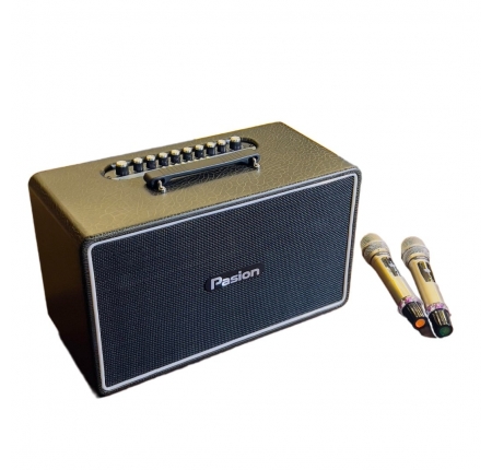 Loa Karaoke Paramax Pasion ARTE