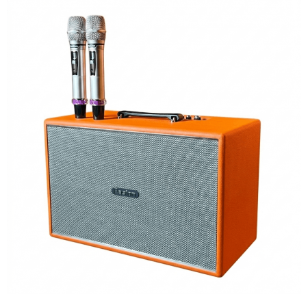 Loa PARAMAX PASION MOZO – Loa Karaoke Di Động 275W, Bluetooth 5.3, DSP