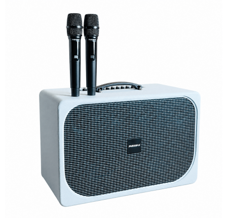 Loa PARAMAX SONO – Loa karaoke di động bass đôi 20cm