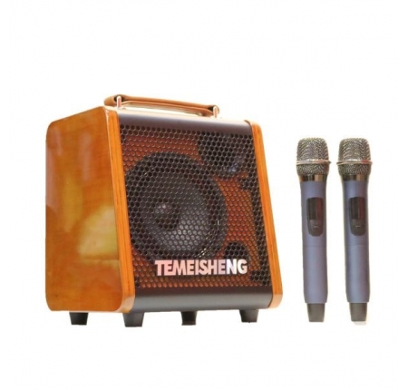 Loa karaoke mini Temeisheng JT 0653