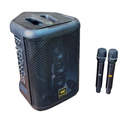 Loa Xách Tay KINGBASS J801